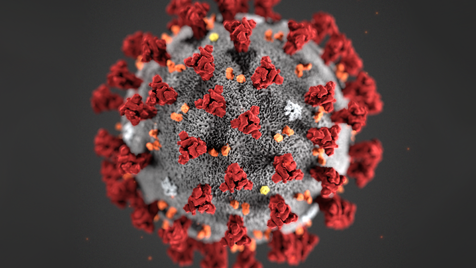 Forstørret bilde av virus - Klikk for stort bilde